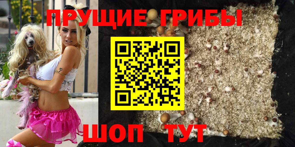 Канаш  Галлюциногенные грибы ЛСД  Вход с VPN  Галлюциногенные грибы мицелий 