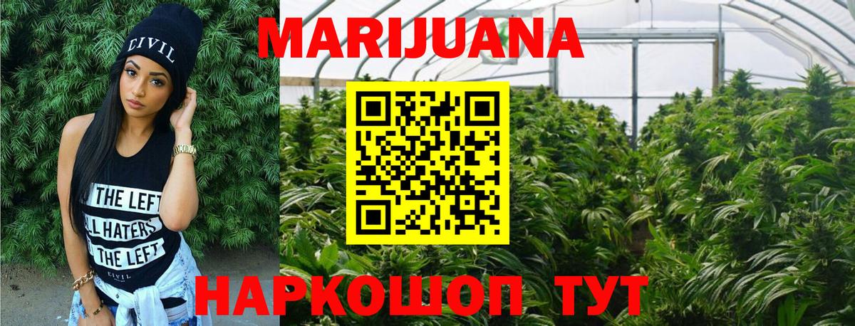 Марихуана Amnesia  Вход с VPN  Канаш  МАРИХУАНА индика  Бошки Шишки Bruce Banner  Бошки марихуана тримм 